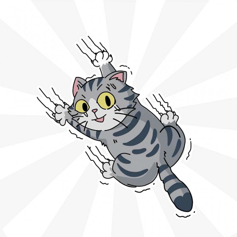 Kedi Sticker