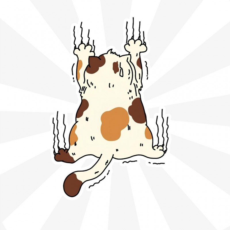 Kedi Sticker