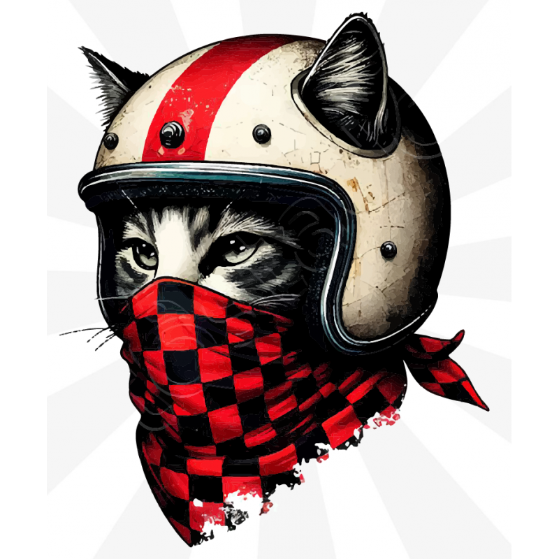 Biker Cat Sticker Biker Cat Sticker