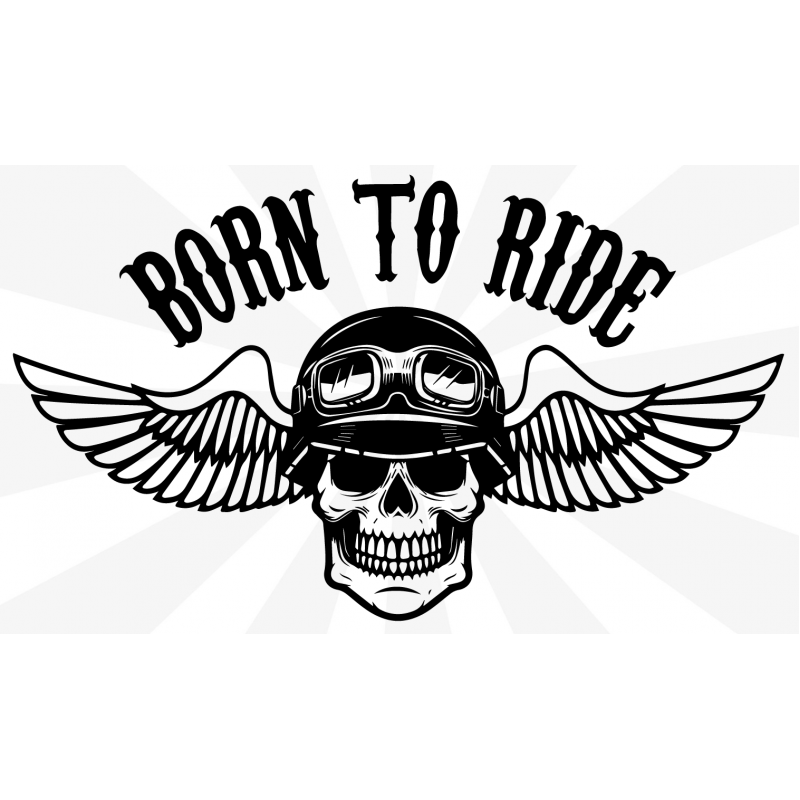 Born to Ride Sticker Born to Ride Sticker