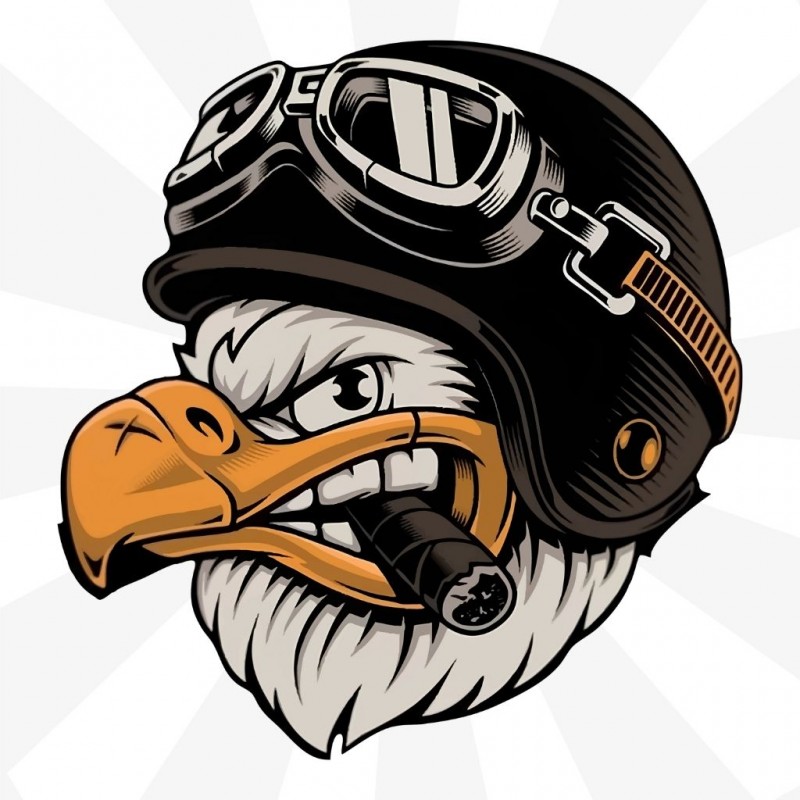 Kartal Kask Sticker
