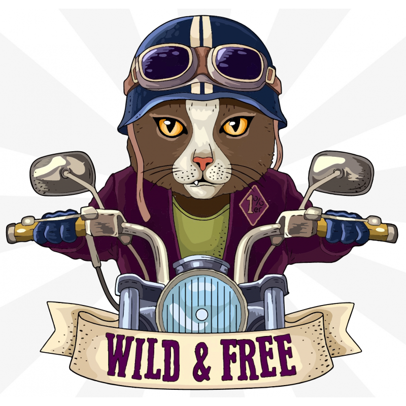 Wild & Free Sticker Wild & Free Sticker